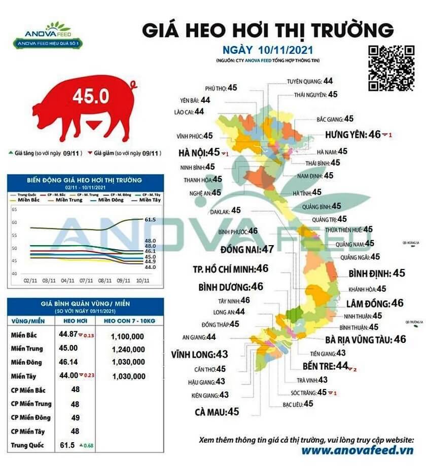 Gia Lon Hoi 10.11