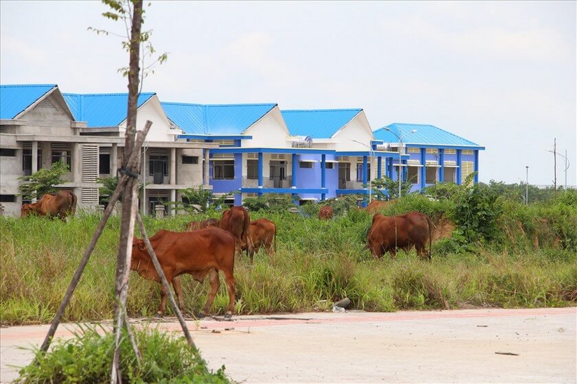 truong moi chua xong tre em khu tai dinh cu san bay long thanh hoc o dau5