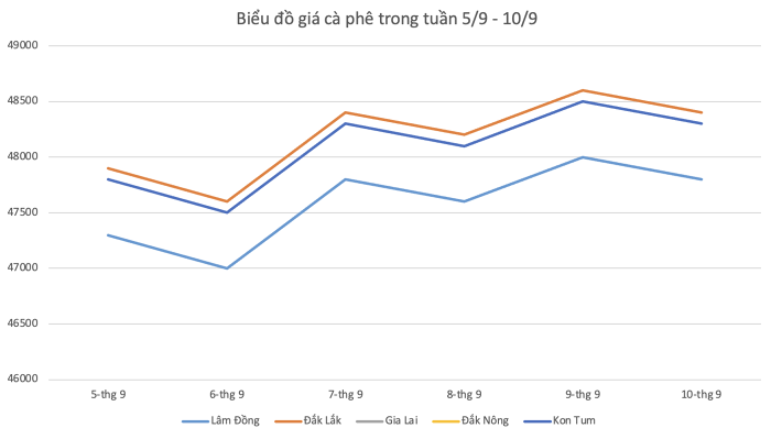 bieu do gia ca phe 2022091020445233