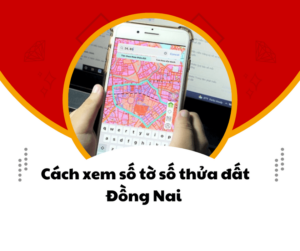 VNVC Định Quán ở đâu ? Số Hotline là số nào ? Thời gian làm việc trong tuần