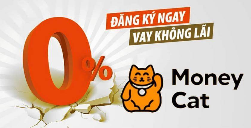 MoneyCat3