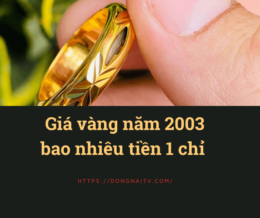 Gia vang nam 2003 bao nhieu tien 1 chi