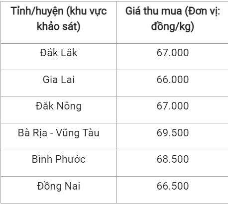 gia tieu hom nay 1311