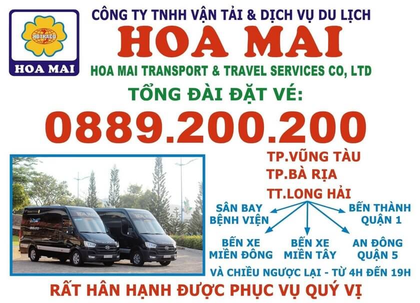 xe hoa mai vung tau8