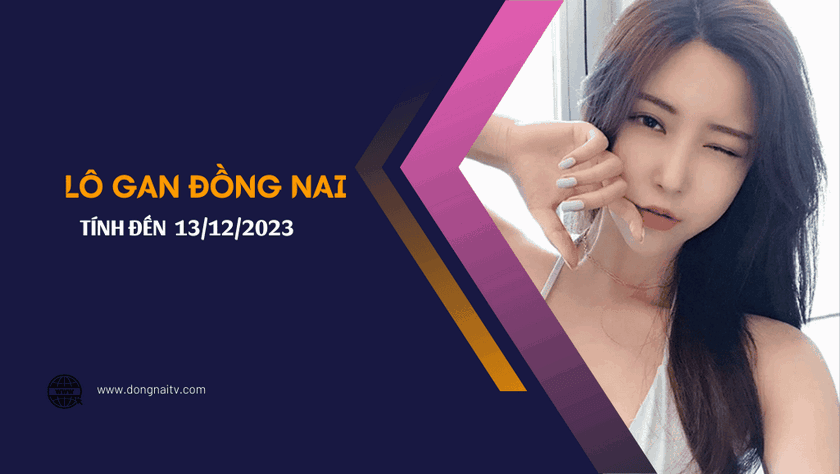 Thong ke lo gan Dong Nai lau chua ve tinh den thu tu ngay 13122023