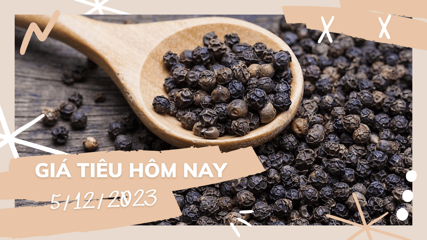 gia tieu hom nay 5 12 2023