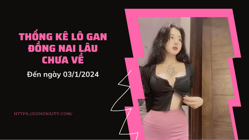 Thong ke lo gan Dong Nai lau chua ve den ngay 0312024