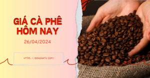 Giá cà phê hôm nay 20/2/2024: Tăng 500 – 600 đồng/kg