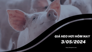 Giá tiêu hôm nay 20/12/2023: Cao nhất 86.000 đồng/kg