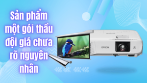 Giá cá tầm hôm nay 08/09/2024 bao nhiêu tiền 1kg ?