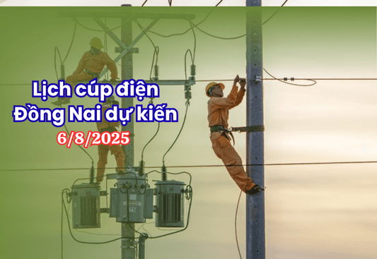 Lich cup dien Dong Nai du kien 682025