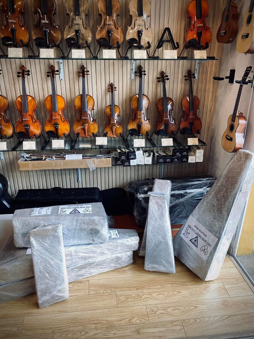 Cách chọn đàn violin đúng chuẩn cho người mới bắt đầu